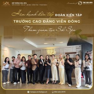 kiến tấp